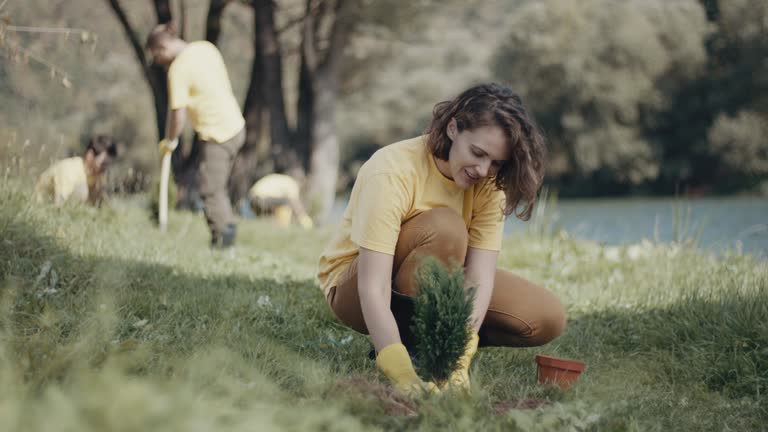 Soil Testing and Treatment in Sleepy Hollow, CA