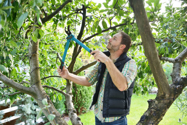 Best Weed Control  in Sleepy Hollow, CA